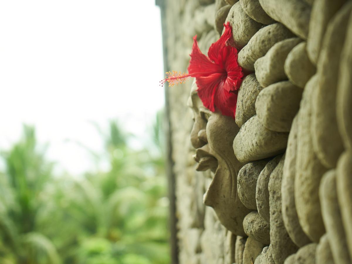 Eden House Ubud Kültér fotó