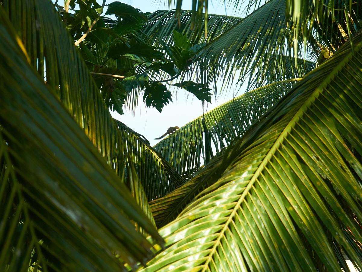 Eden House Ubud Kültér fotó
